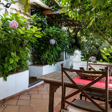 Apartment El Estanco 14 Vega de San Mateo
